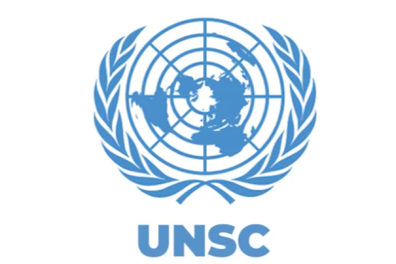 UNSC Deadlock: Russia and China Veto Resolution to Reopen Strait of Hormuz