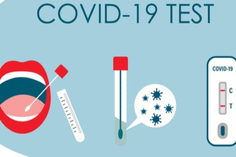 COVID-19: 3 Out of 4 Tested Positive in a Single Day, No New Deaths Reported