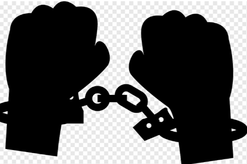 Bangabhaban Official in Police Custody For Alleged Hack of Jamaat Chief's Social Media