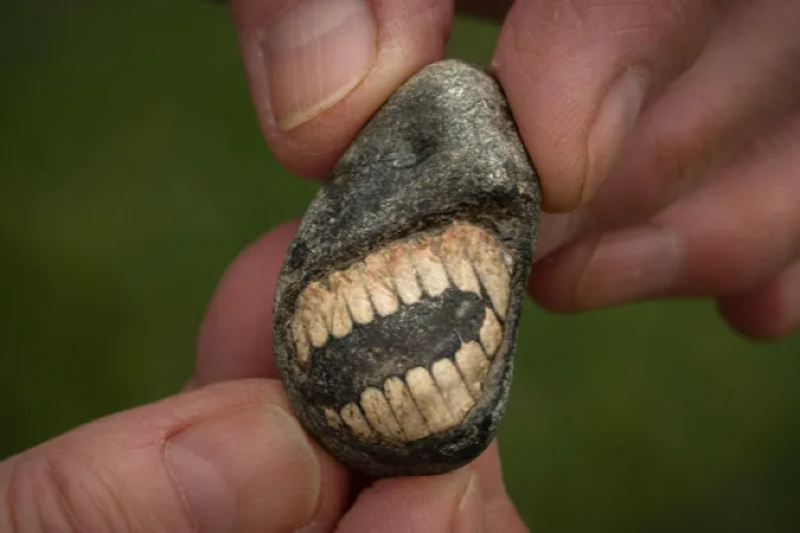 Stunning “Smiling” Fossil Found on Holy Island Sparks Global Buzz
