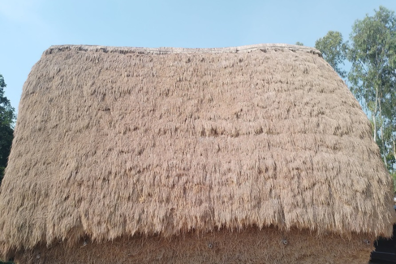 The Haystack – A Vanishing Tradition