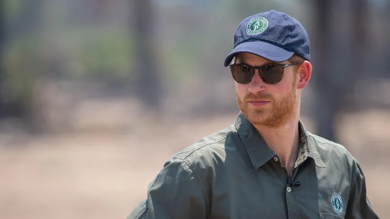 Prince Harry Steps Down African Wildlife Charity Board After Six Years